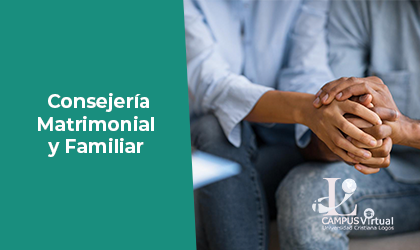 CNS731 - Consejería Familiar y Matrimonial