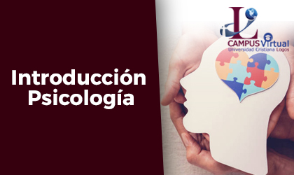 PSY101 Introducción Psicología