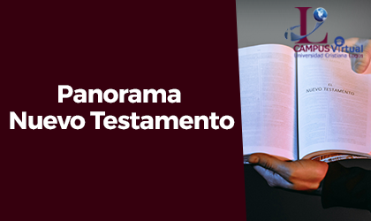INTS101 - Panorama Nuevo Testamento (IBLI, IBLO)