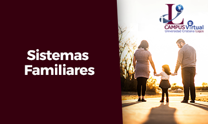 9. ICCBD ISOC263 - Sistemas Familiares
