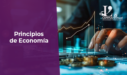 BUS201 - Principios de Economía
