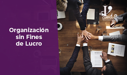 BUS310 - Organizaciones sin Fines de Lucro
