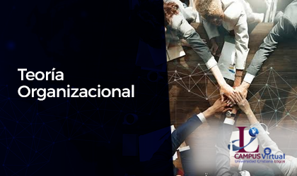 BUS615 – Teoría Organizacional A